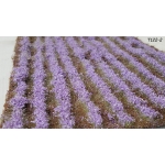 Lavanda T122-2